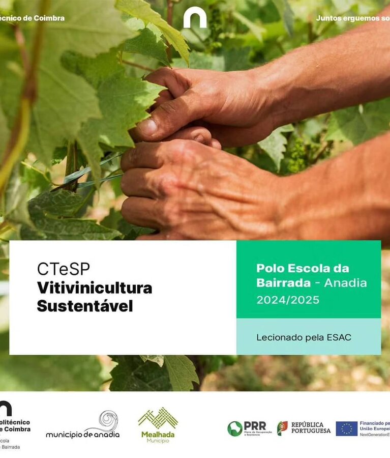 curso_vitivinicultura_sustentavel_anadia