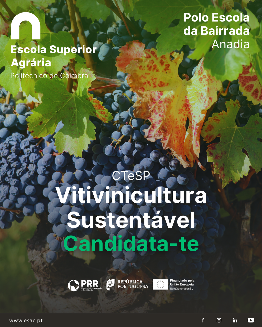 ctesp___vitivinicultura_sustentavel