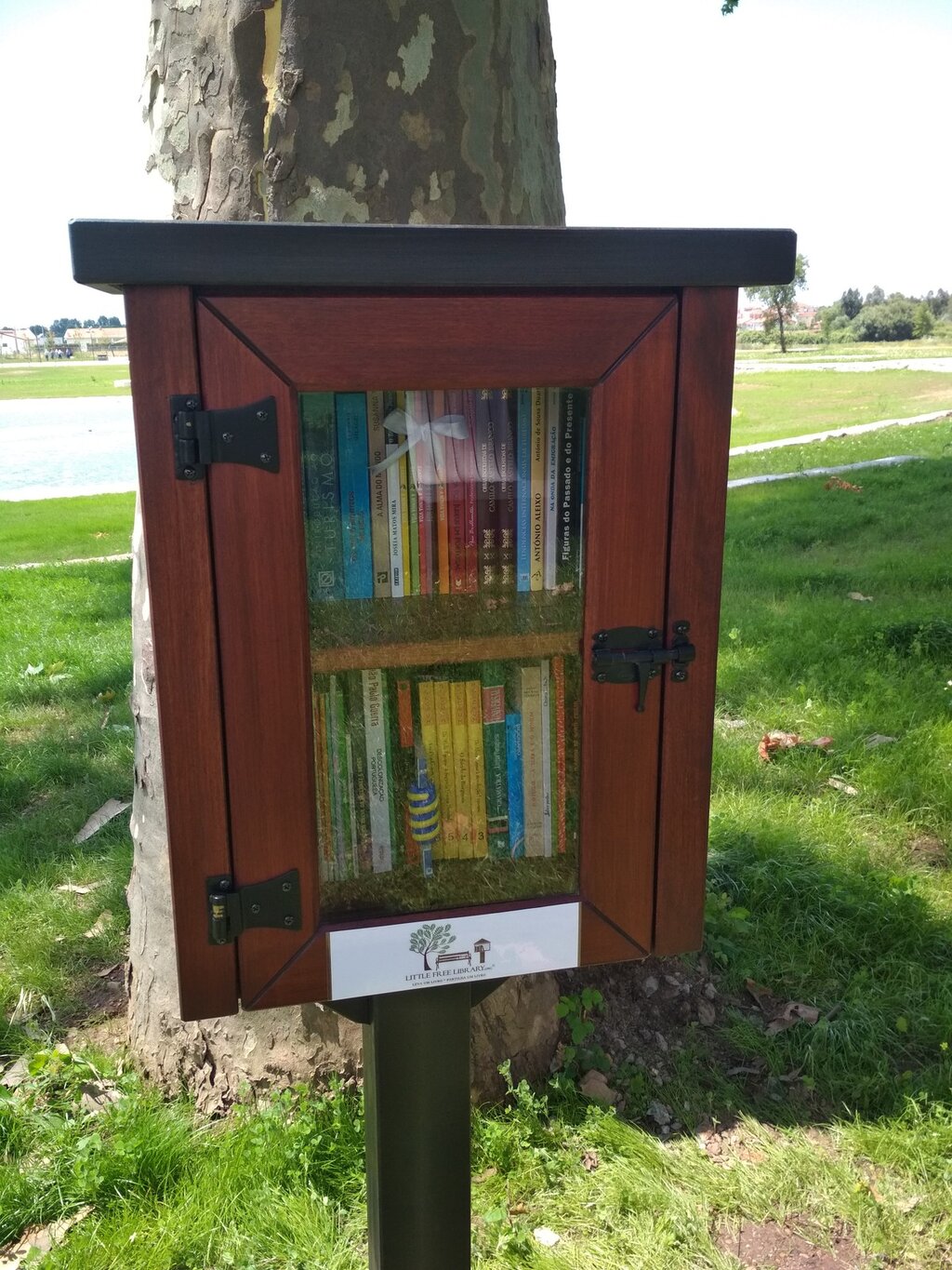 Anadia tem uma "Little Free Library"
